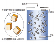 BioNest 生物巢手艺